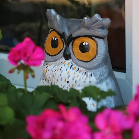 Gut Huthmacherhof Appartamento