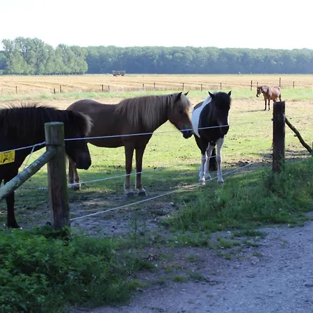 Gut Huthmacherhof Appartamento Jülich