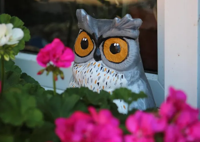 Gut Huthmacherhof Appartamento