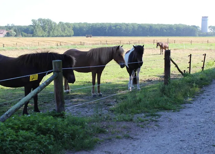 Gut Huthmacherhof Appartamento Jülich